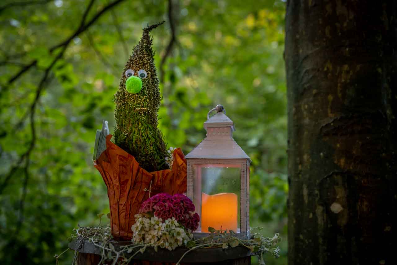 Blumentraum im Speuzer Wald