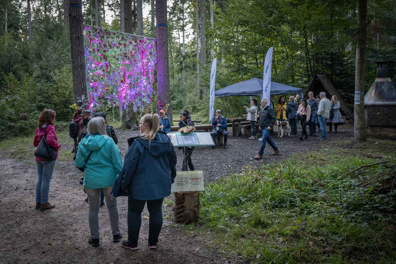 Blumentraum im Speuzer Wald