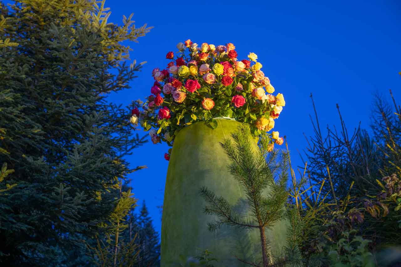 Blumentraum im Speuzer Wald